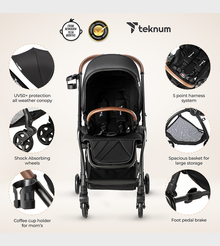 Reversible Travel Stroller