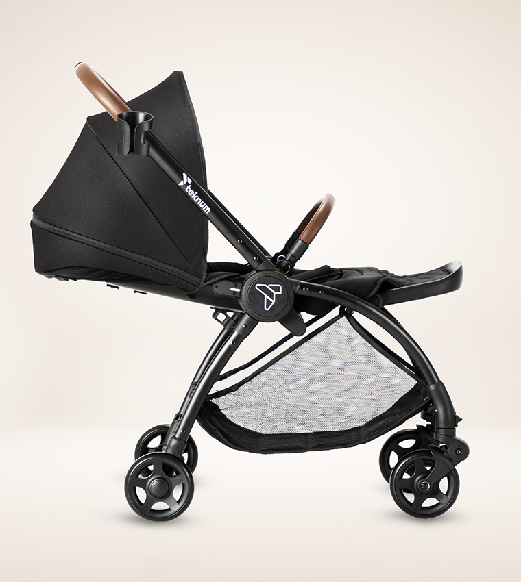 Reversible Travel Stroller