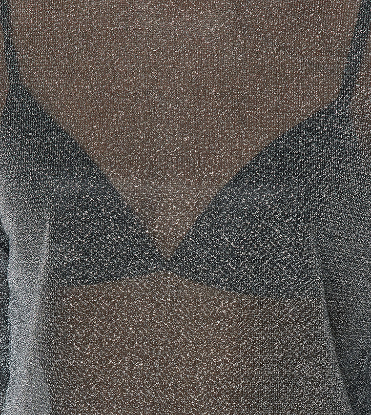 Shimmer Long Sleeves Sheer Top