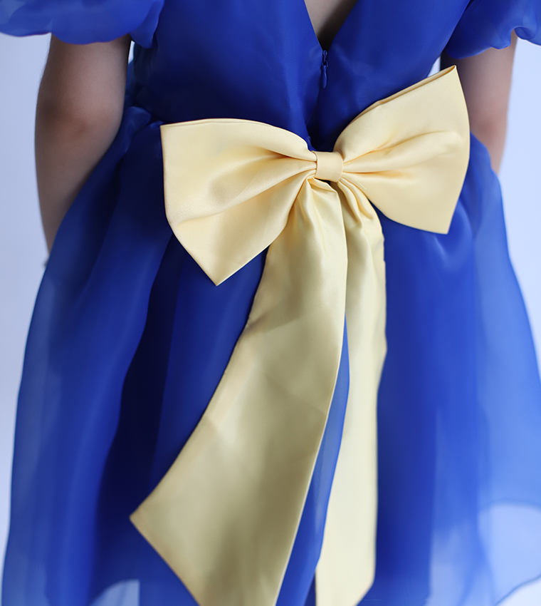 Back-Bow-Detail Tulle Fit and Flare Dress