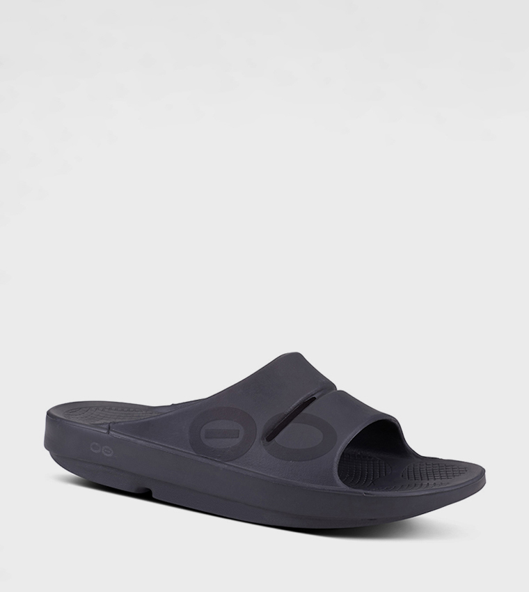 OOAHH Logo Detail Slides