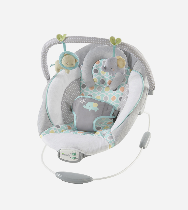 Baby bouncer brands online